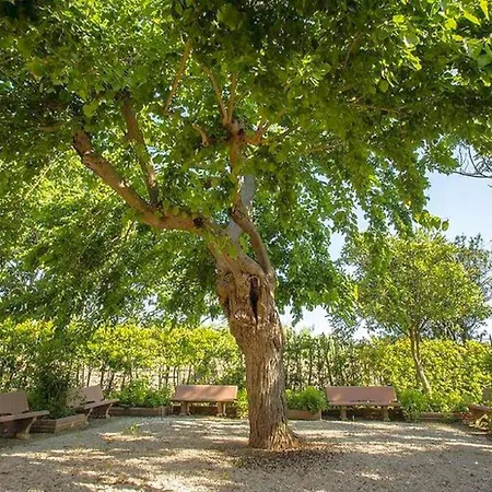 Apartamento Tasteful With Shared Pool *